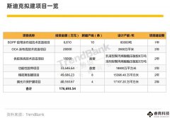 斯迪克以400萬元競得土地使用權(quán)，布局OCA、偏光