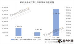 杉杉股份上半年凈利預(yù)增達(dá)649%，偏光片業(yè)績貢獻(xiàn)